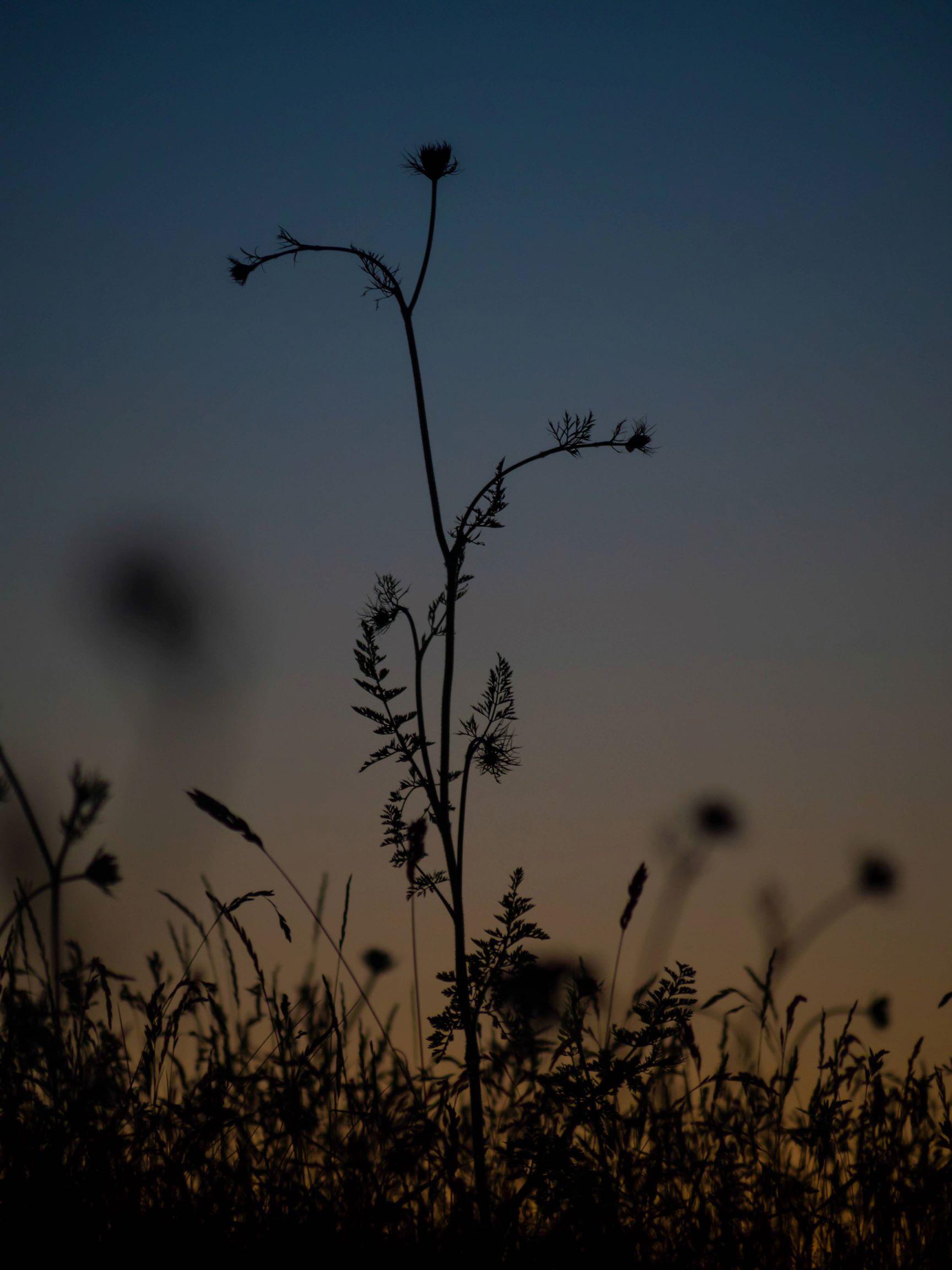 20140624_235718