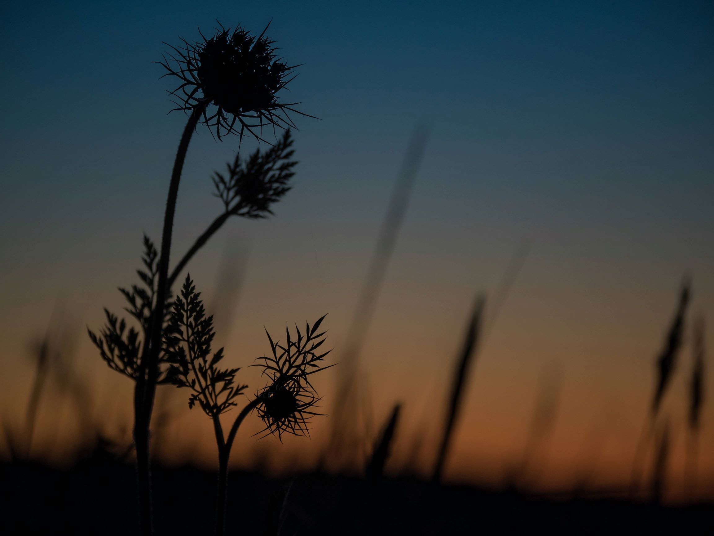 20140624_235945