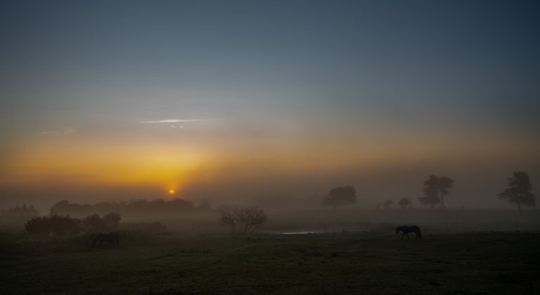 004_20190724_051213
