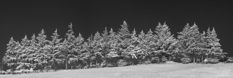 024_20190724_090058-Pano
