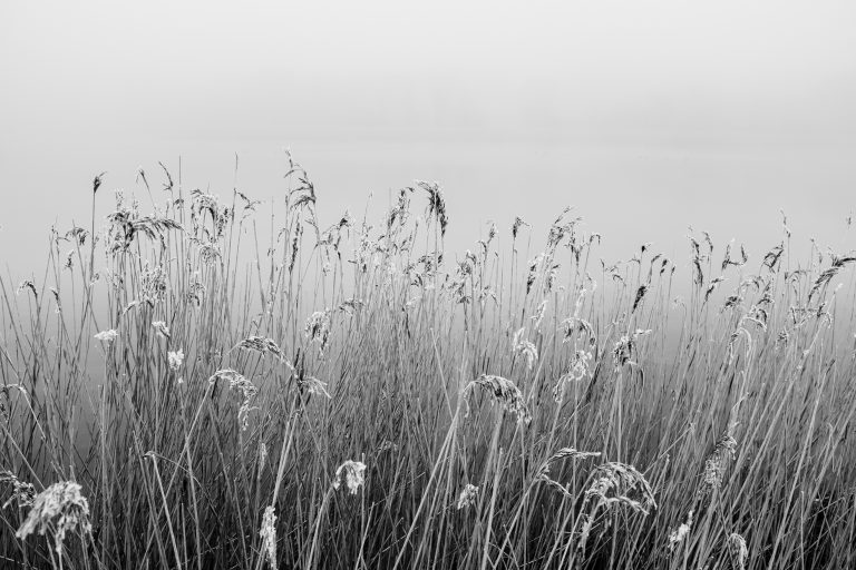 0033_20160312_091717