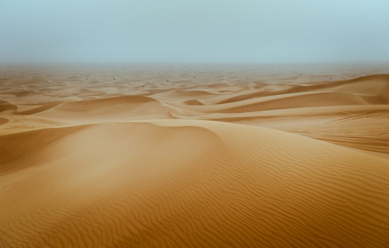 20110619_191019