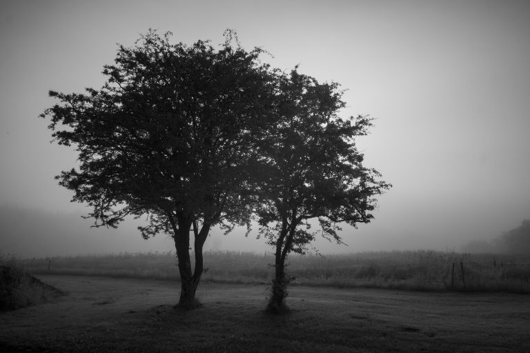 012_20190724_064805